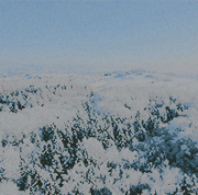 winter8.gif