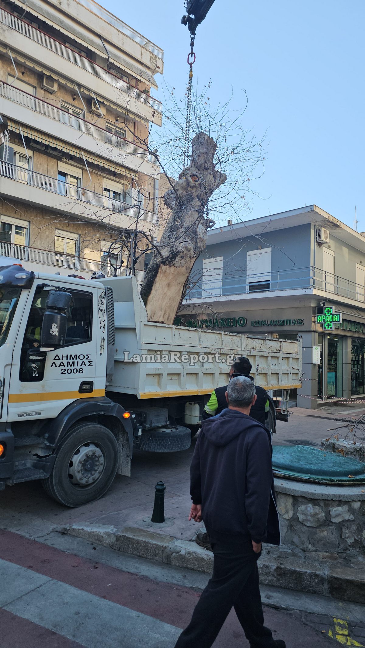 Δεντρο πλατεια Λαου014