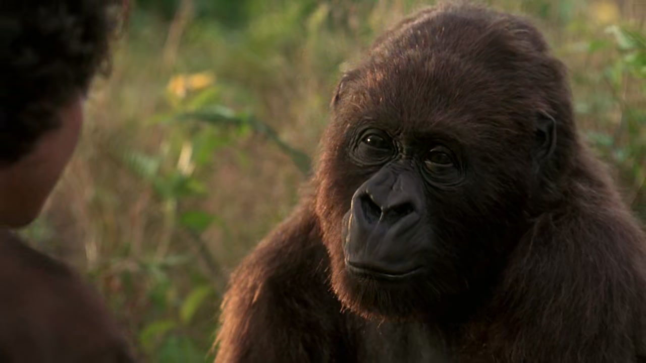 Congo Screenshot