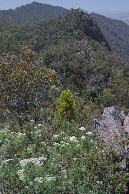 IMGP0779