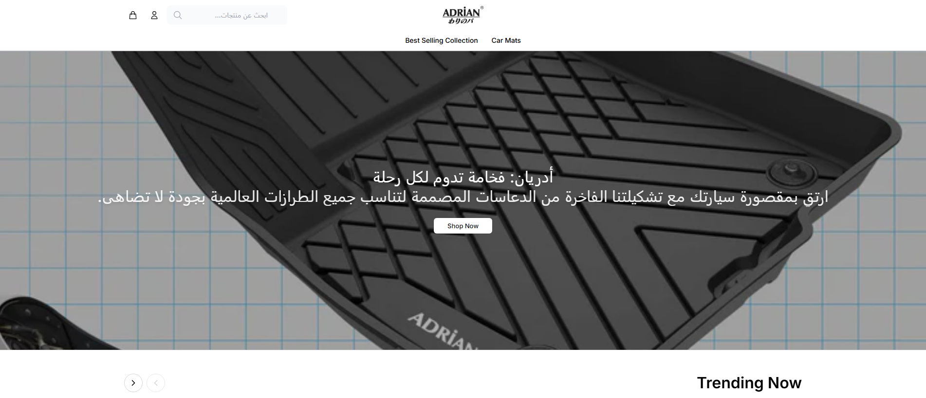 Stored capture of adriankauto.shop