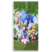 31001586-Sonic