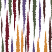 80