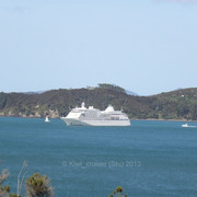 P1198466