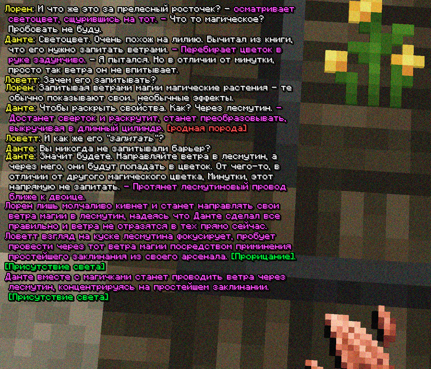 SS1.png