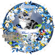 Blueberry-Spring-Jewels