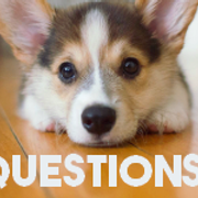 questions-22