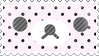 IMG 3274.png