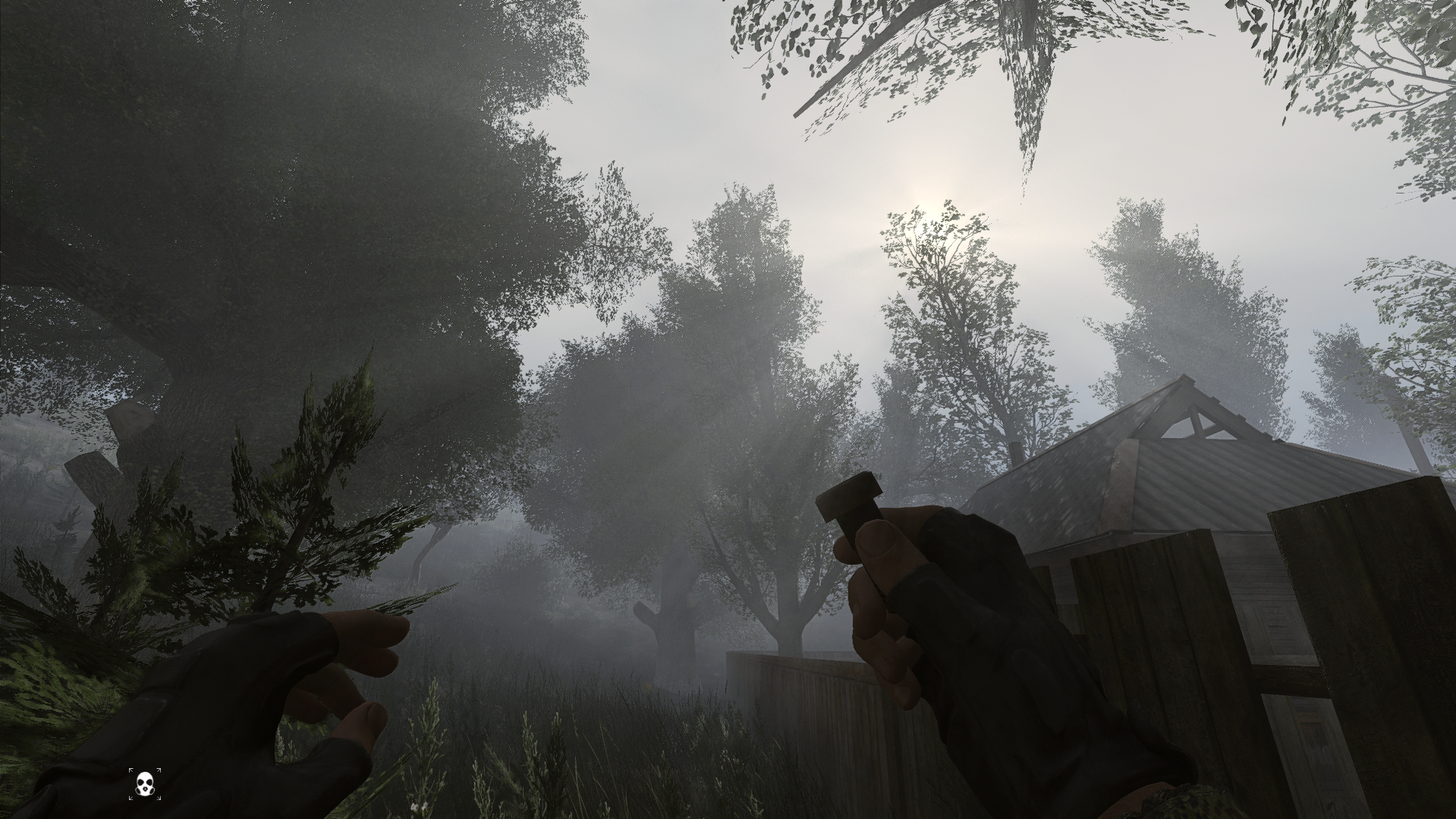 image6.png