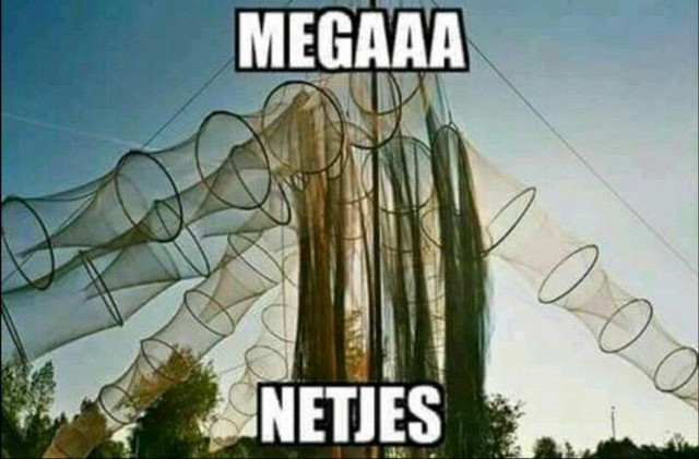 Netjes