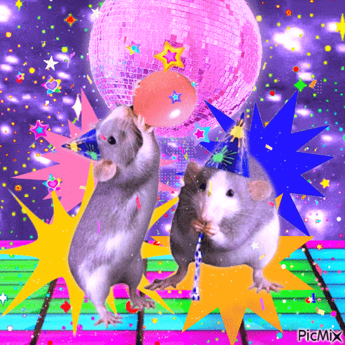 https://i.ibb.co/Rp5ds5cs/11359839-b4037.gif