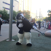 IMG 5629