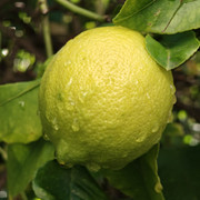 IMG20260128235047