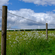 DSF1771