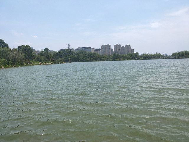 IMG20200717124615.jpg