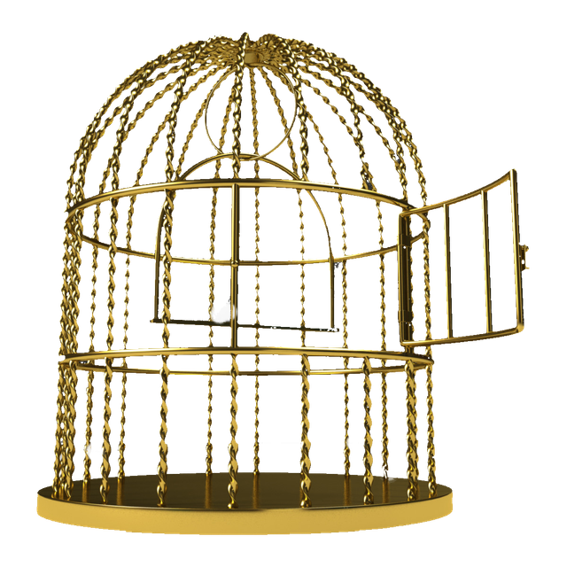 pngwing com (92).png