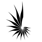 3e55176a89c8b8b42d5df8bba7c046de