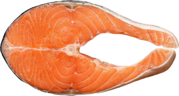 Salmon