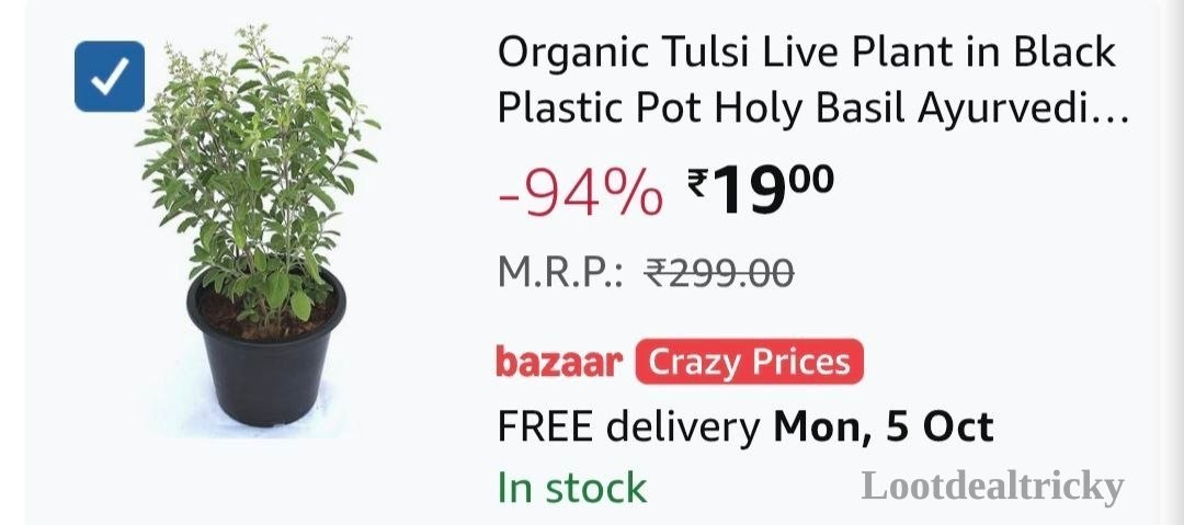 19 Amzn To Offer Image