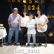 DSC-3201