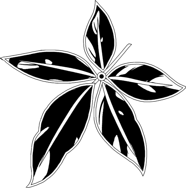 14c7b5d6bcafabe53720cc75a62c19bc.png