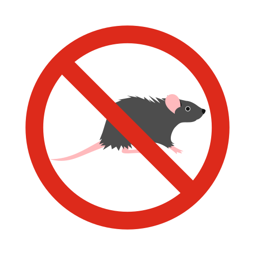 Tikus (Rodent)