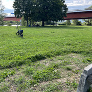 IMG-8685
