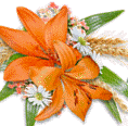 0-772d5-4c09e5a5-L