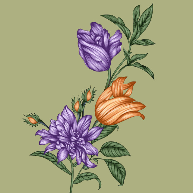 shutterstock 2380843403.jpg