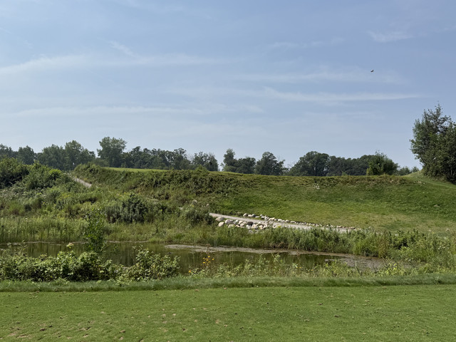 IMG-6786