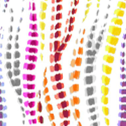 c126fa725cb34f91d8dd92f22d61d1d1