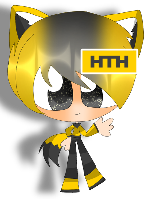 NTN-HTH.png