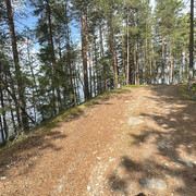 IMG 4584