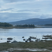 IMG 6008