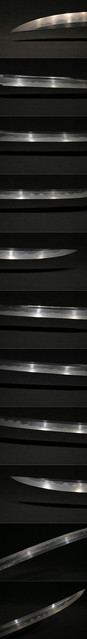 DSC4194