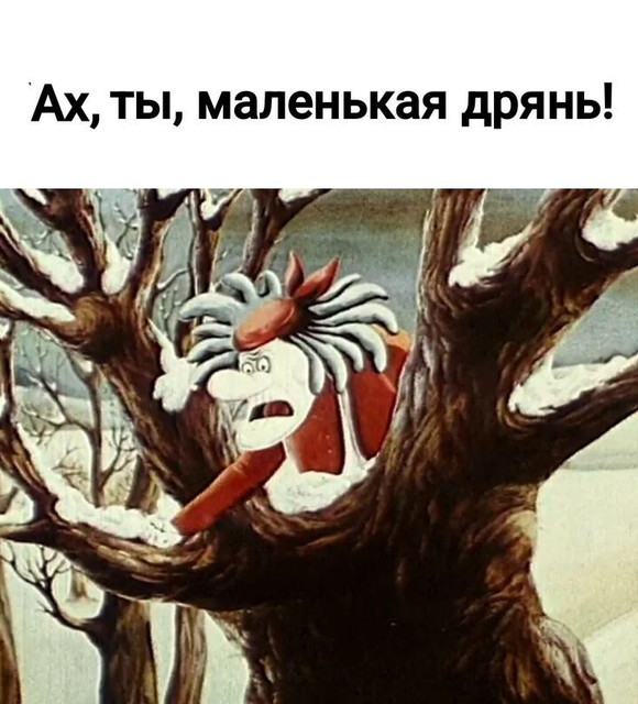1000051115