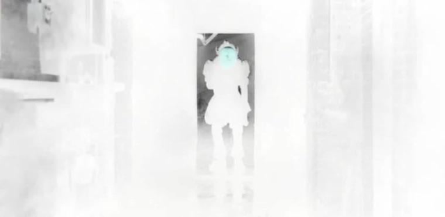 inverted image (1)