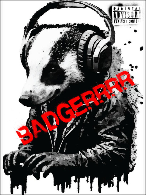 badgerdj3-1.jpg