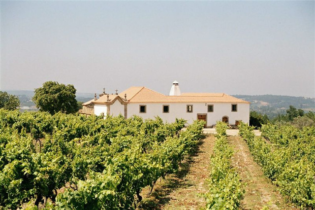 quinta-da-pellada