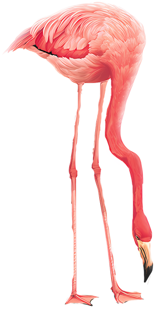 9377837620670befd67c9b5d09298045.png