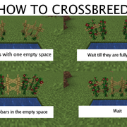 how-to-crossbreed