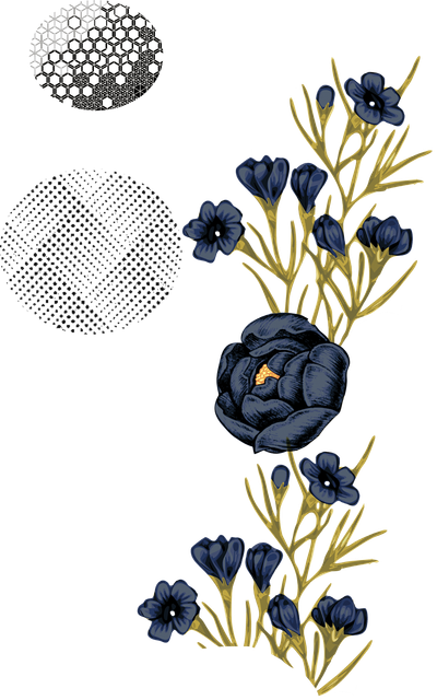 80d84ffde0412cdbb583f99aded47bef.png