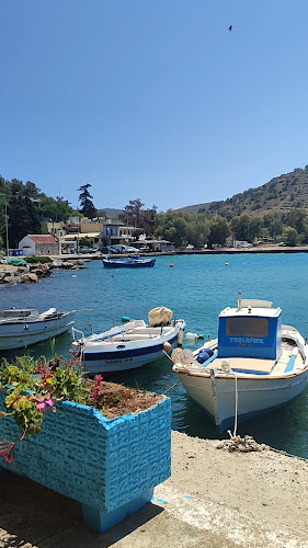 Papamichalakis Antonios