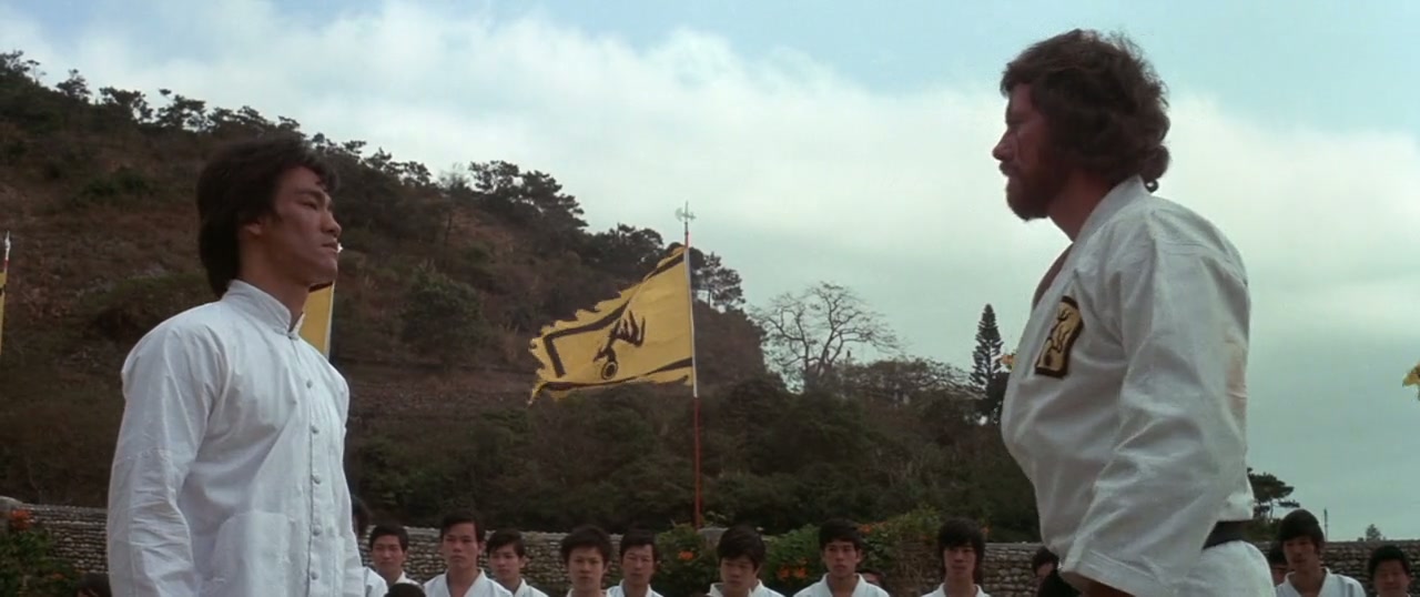 Enter the Dragon Screenshot