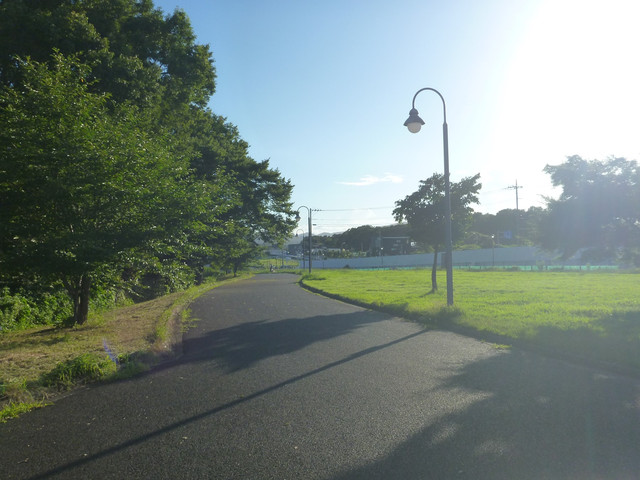 P1340264.jpg