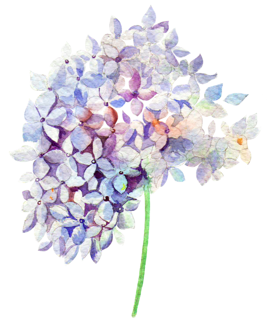 pngegg (61).png