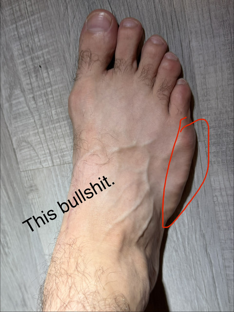 IMG 2537