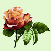shutterstock-2028570149