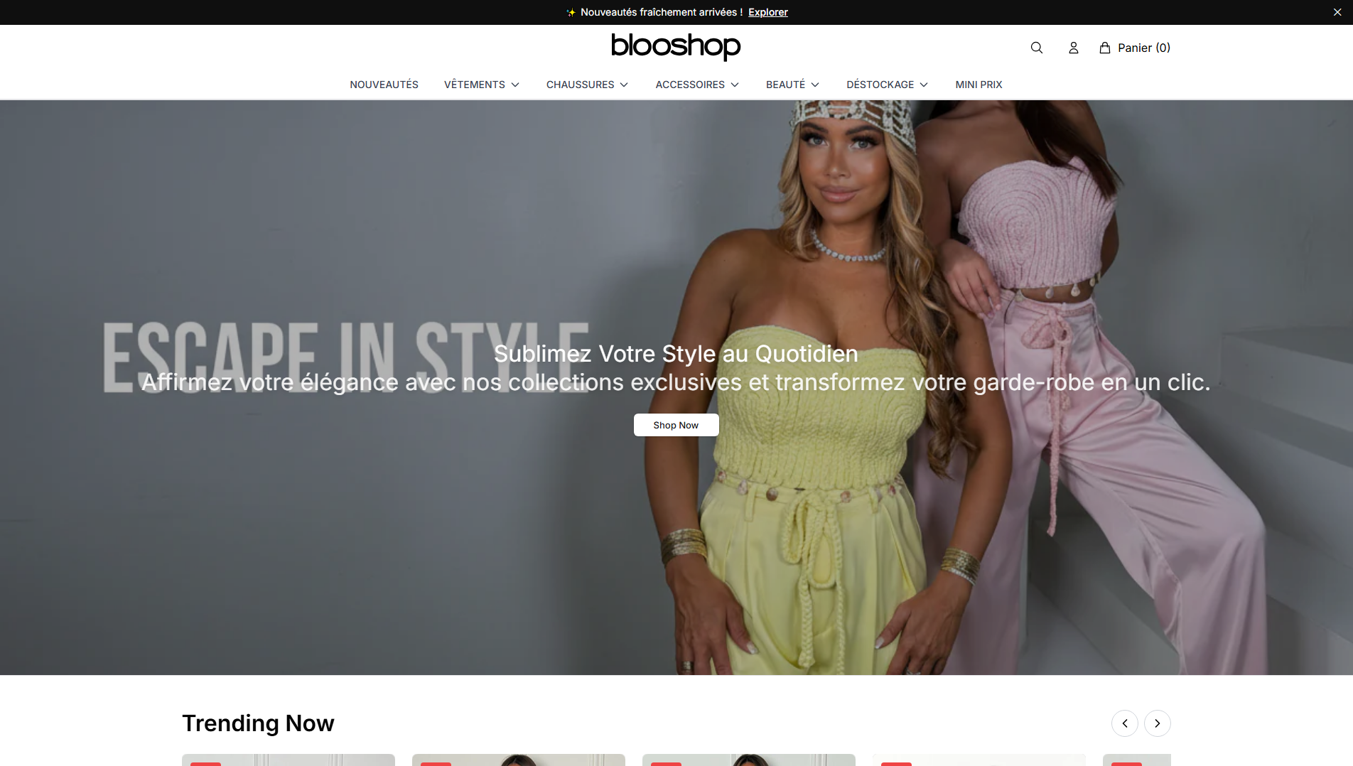 Primary capture · blooshopstore.shop