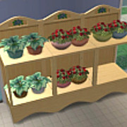 Potted Plants